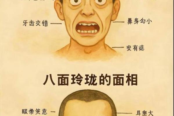 面容如画:揭秘面具脸型背后的神秘面相之谜 面容如画:揭秘面具脸型背后的神秘面相之谜