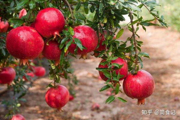 李尚缦：寓意深远，好运连连的姓名解析