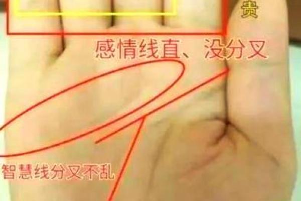 财运亨通秘符手相,揭秘你的致富密码! 财运亨通秘符手相,揭秘你的致富密码!