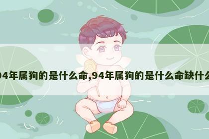 94年属狗的是什么命,94年属狗的是什么命缺什么 94年属狗的是什么命,94年属狗的是什么命缺什么