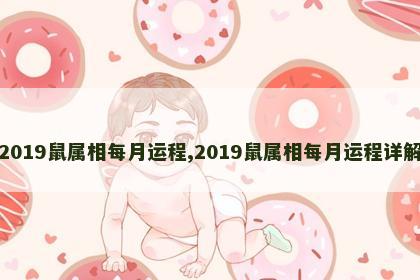 2019鼠属相每月运程,2019鼠属相每月运程详解