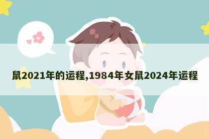 鼠2021年的运程,1984年女鼠2024年运程