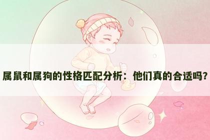 属鼠和属狗的性格匹配分析：他们真的合适吗？