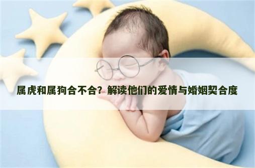 属虎和属狗合不合？解读他们的爱情与婚姻契合度