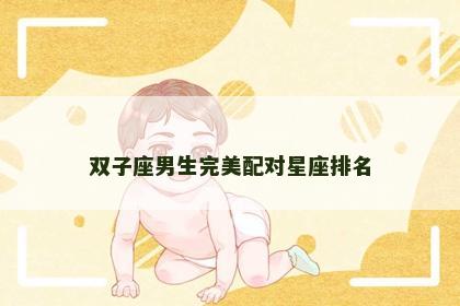 双子座男生完美配对星座排名