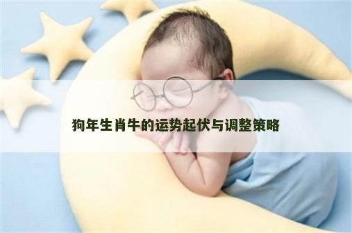 狗年生肖牛的运势起伏与调整策略