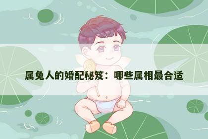 属兔人的婚配秘笈：哪些属相最合适