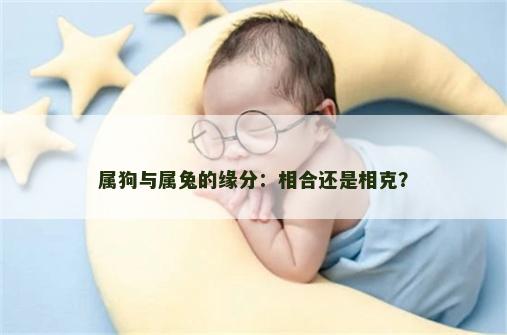 属狗与属兔的缘分：相合还是相克？