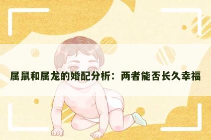 属鼠和属龙的婚配分析：两者能否长久幸福