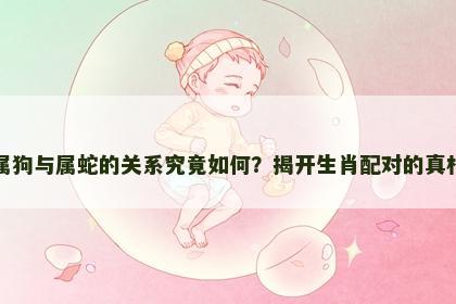 属狗与属蛇的关系究竟如何？揭开生肖配对的真相