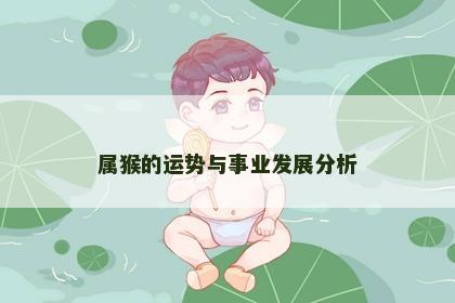 属猴的运势与事业发展分析