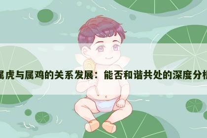 属虎与属鸡的关系发展：能否和谐共处的深度分析