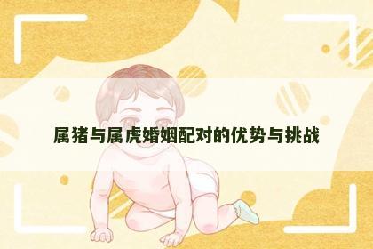 属猪与属虎婚姻配对的优势与挑战