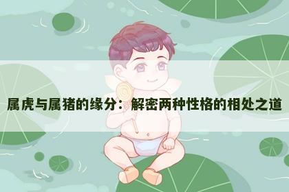 属虎与属猪的缘分：解密两种性格的相处之道