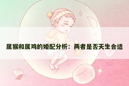 属猴和属鸡的婚配分析：两者是否天生合适