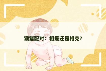 猴猪配对：相爱还是相克？