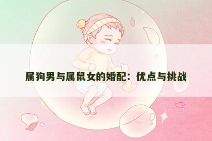 属狗男与属鼠女的婚配：优点与挑战