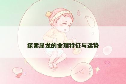 探索属龙的命理特征与运势