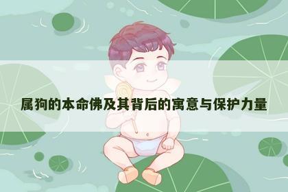 属狗的本命佛及其背后的寓意与保护力量