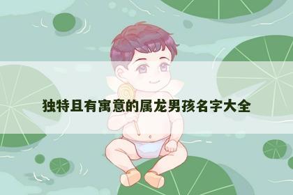 独特且有寓意的属龙男孩名字大全