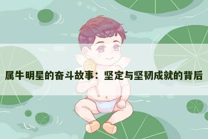 属牛明星的奋斗故事：坚定与坚韧成就的背后