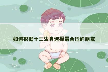 如何根据十二生肖选择最合适的朋友