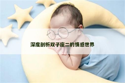 深度剖析双子座二的情感世界