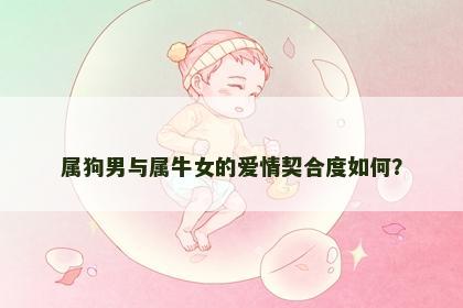 属狗男与属牛女的爱情契合度如何？