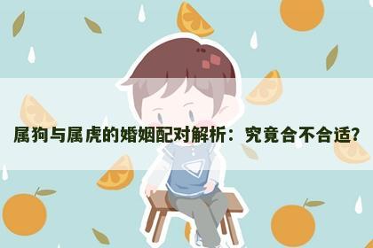 属狗与属虎的婚姻配对解析：究竟合不合适？