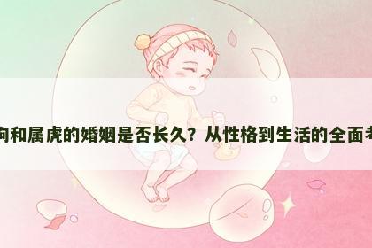 属狗和属虎的婚姻是否长久？从性格到生活的全面考察