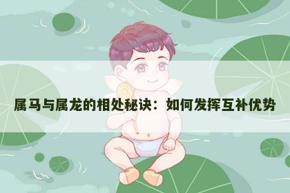 属马与属龙的相处秘诀：如何发挥互补优势