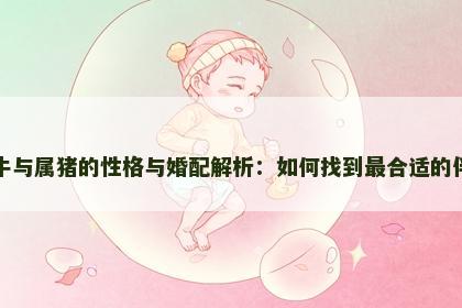 属牛与属猪的性格与婚配解析：如何找到最合适的伴侣