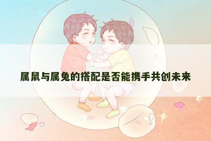 属鼠与属兔的搭配是否能携手共创未来