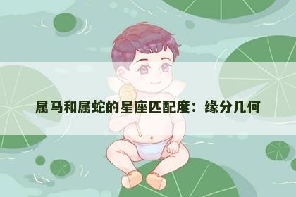 属马和属蛇的星座匹配度:缘分几何 属马和属蛇的星座匹配度:缘分几何