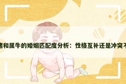 属猪和属牛的婚姻匹配度分析：性格互补还是冲突不断