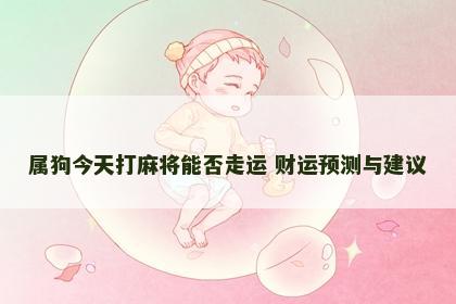属狗今天打麻将能否走运 财运预测与建议 属狗今天打麻将能否走运 财运预测与建议