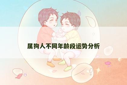 属狗人不同年龄段运势分析 属狗人不同年龄段运势分析
