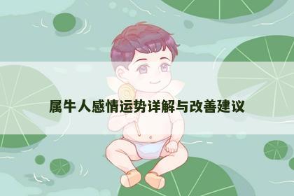 属牛人感情运势详解与改善建议