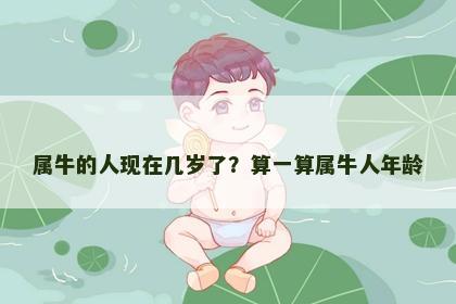 属牛的人现在几岁了？算一算属牛人年龄