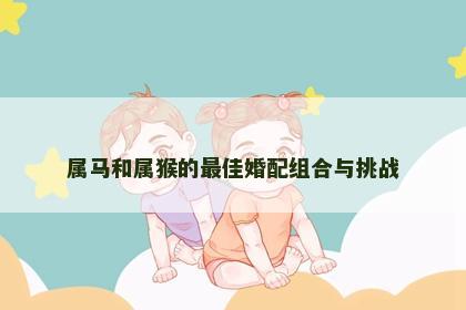 属马和属猴的最佳婚配组合与挑战