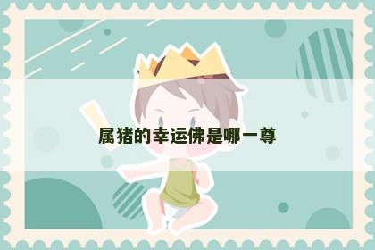 属猪的幸运佛是哪一尊