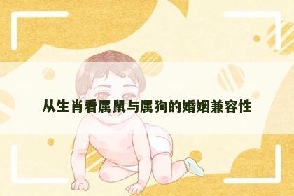 从生肖看属鼠与属狗的婚姻兼容性