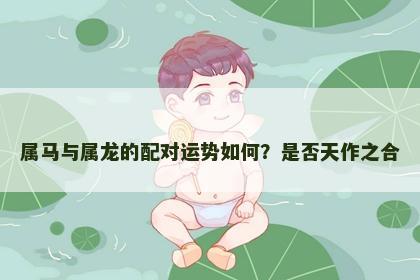 属马与属龙的配对运势如何？是否天作之合