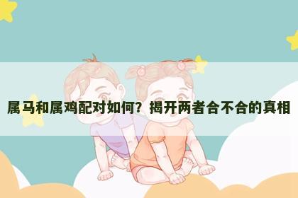 属马和属鸡配对如何？揭开两者合不合的真相