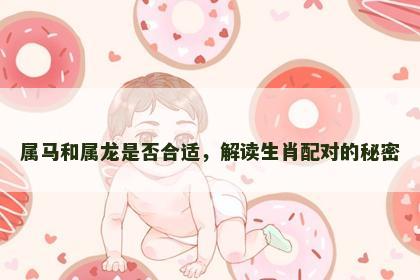 属马和属龙是否合适，解读生肖配对的秘密