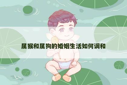 属猴和属狗的婚姻生活如何调和
