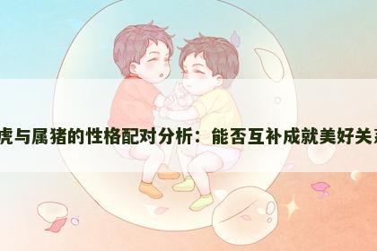 属虎与属猪的性格配对分析：能否互补成就美好关系？
