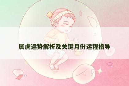 属虎运势解析及关键月份运程指导