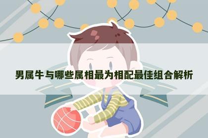 男属牛与哪些属相最为相配最佳组合解析