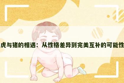 虎与猪的相遇：从性格差异到完美互补的可能性